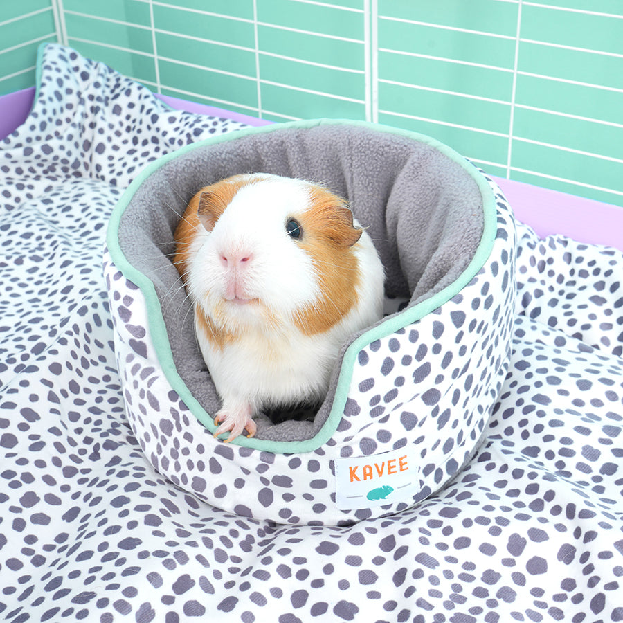 Guinea Pig Cuddle Cup product image 1