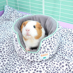 Guinea Pig Cuddle Cup product image 1