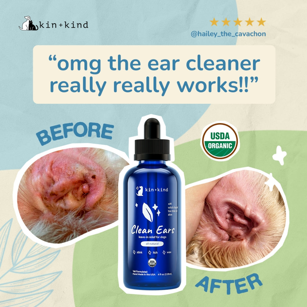 Dog Grooming Bundle product image 2