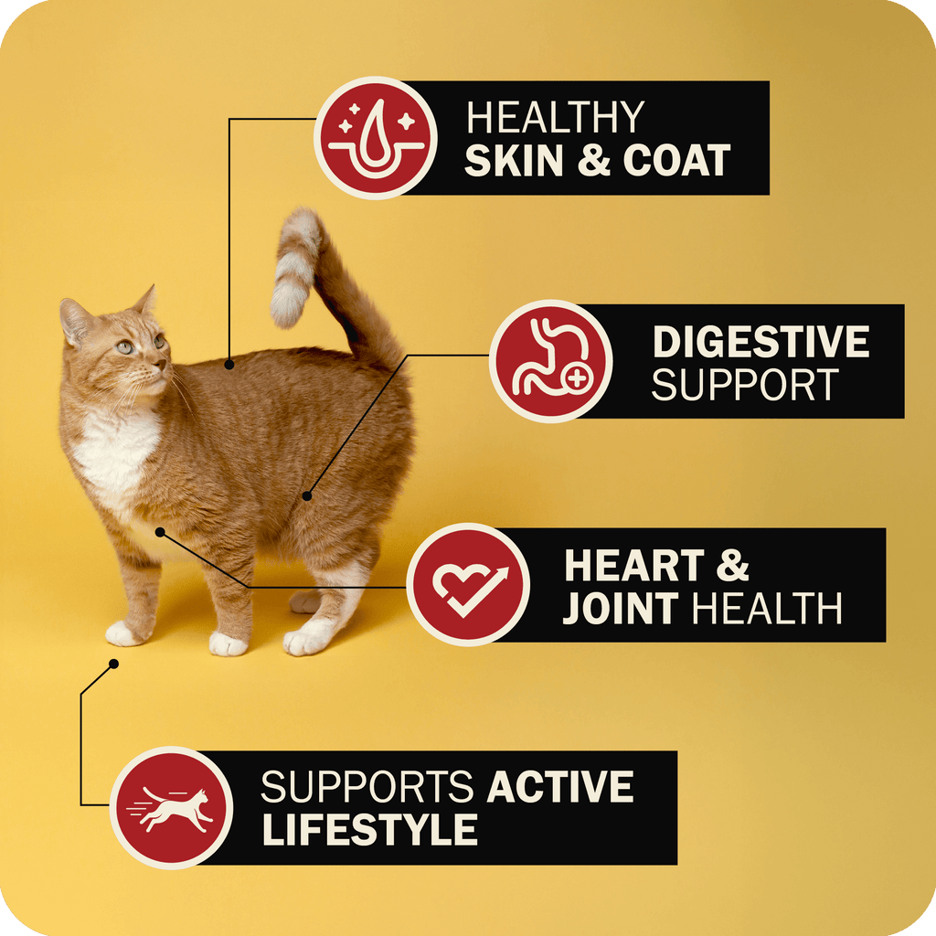 Supports healthy skin & coat, digestive support, heart & joint health, supports active lifestyle
