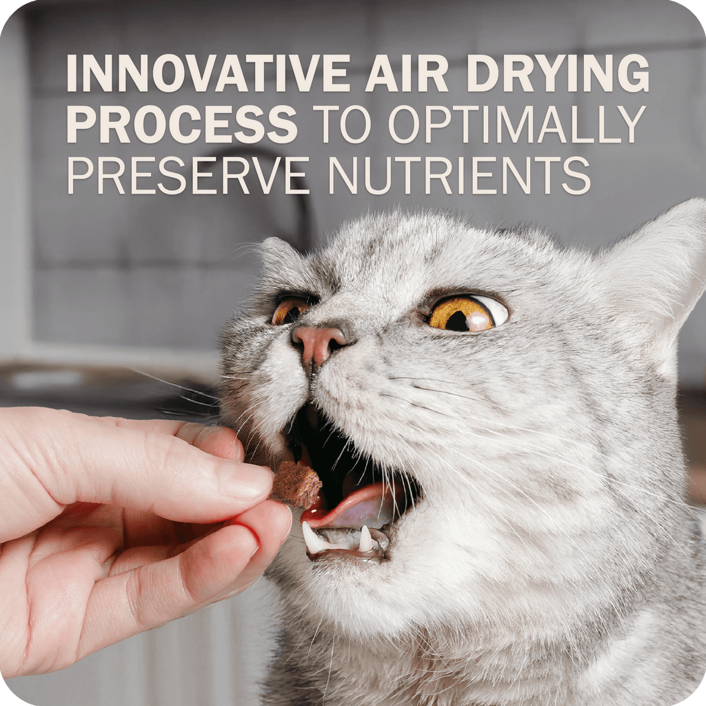 Innovative air drying process to optimally preserve nutrients