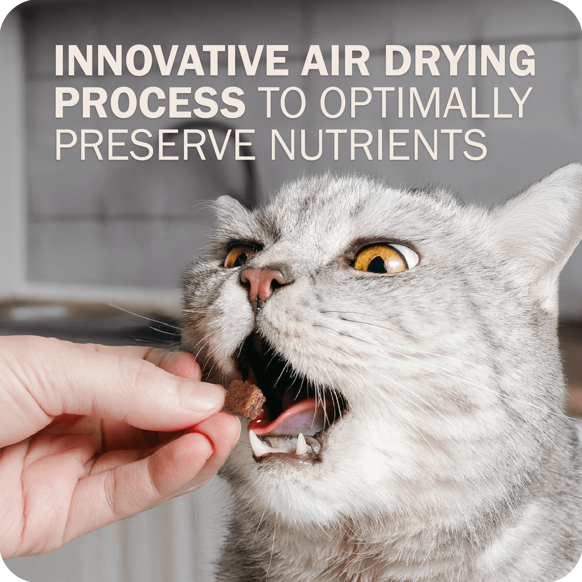 Innovative air drying process to optimally preserve nutrients