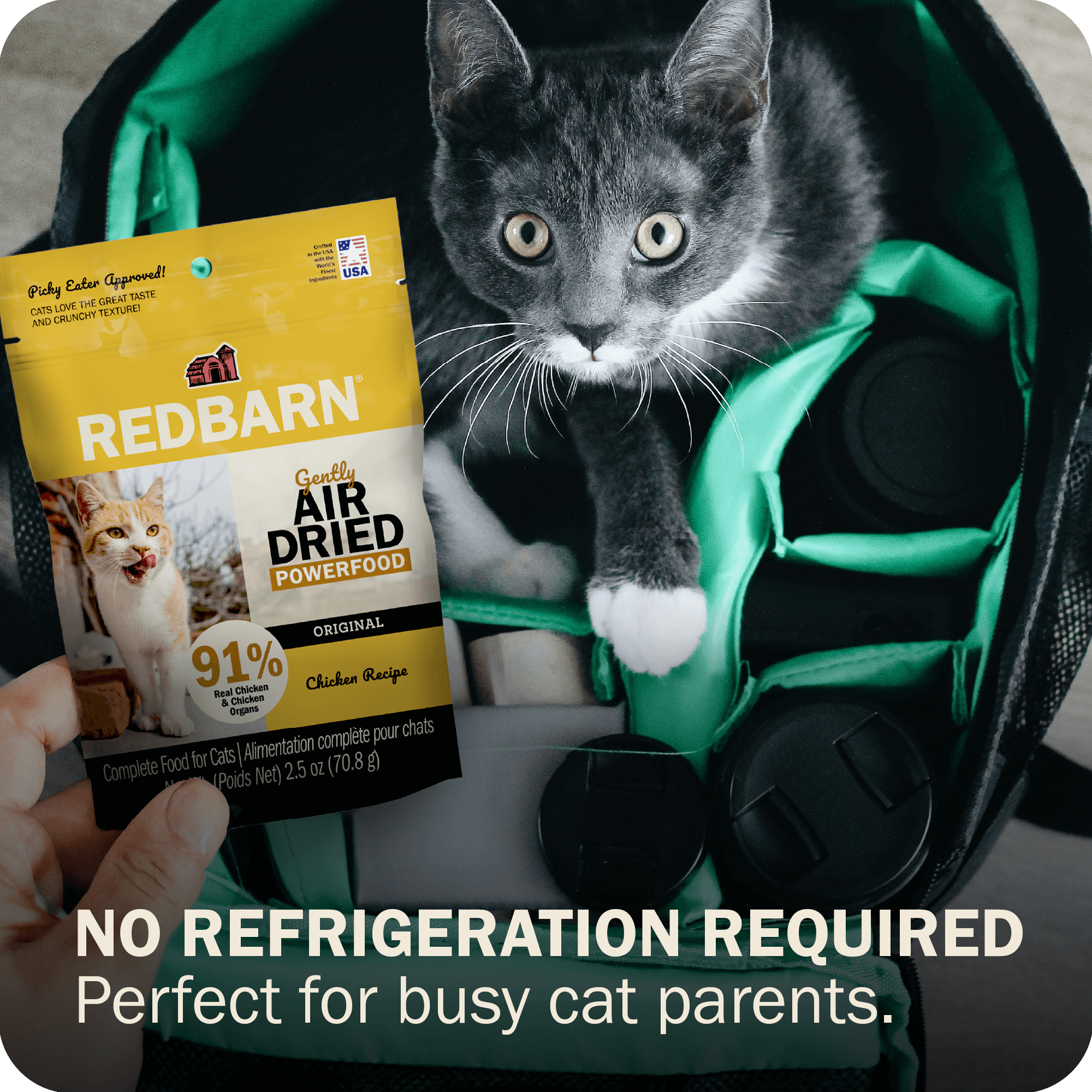 Perfect for busy cat parents. No refrigeration required