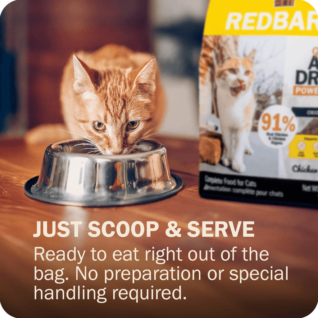 Just scoope and server