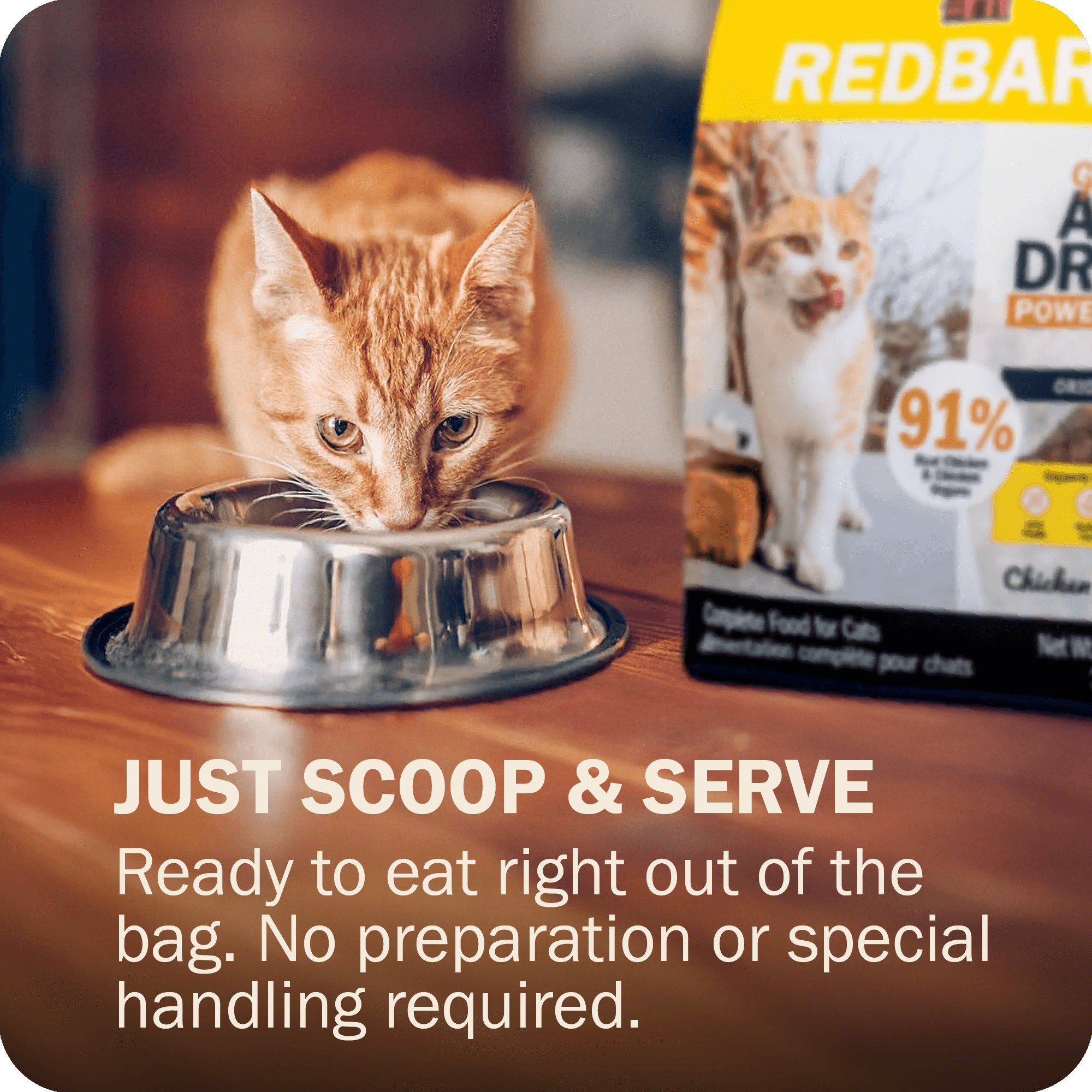 Just scoope and server