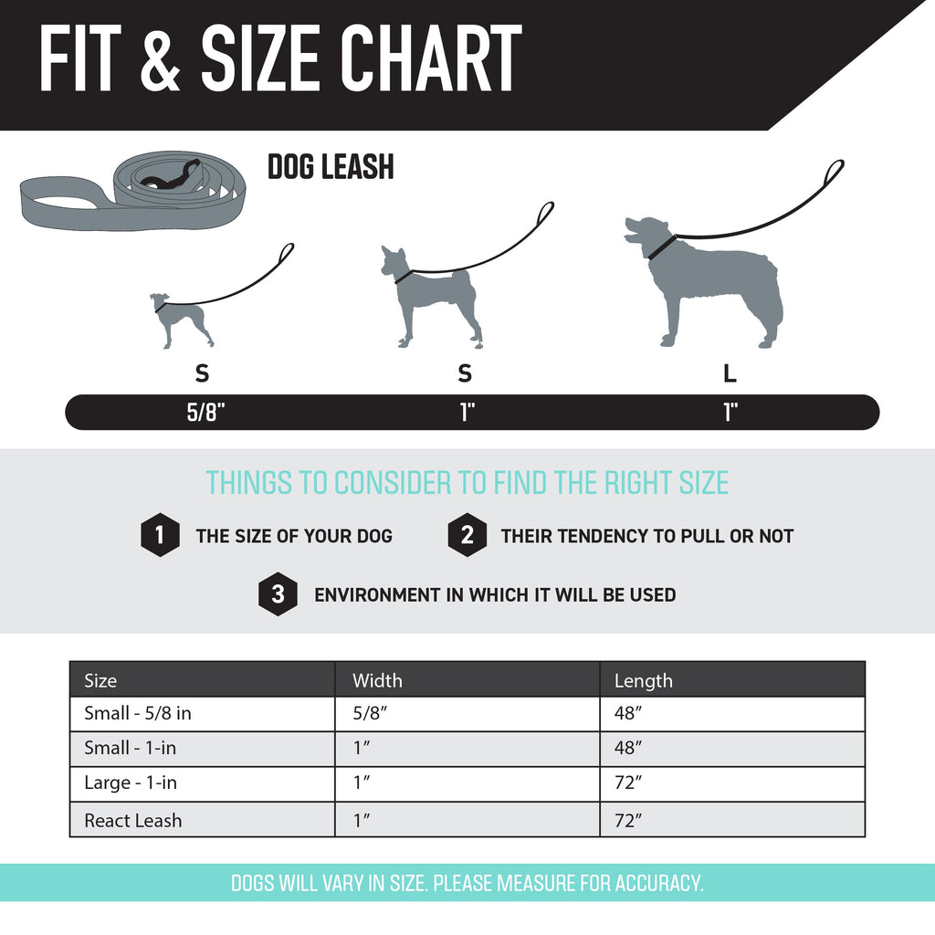 Dog Leash product image 4