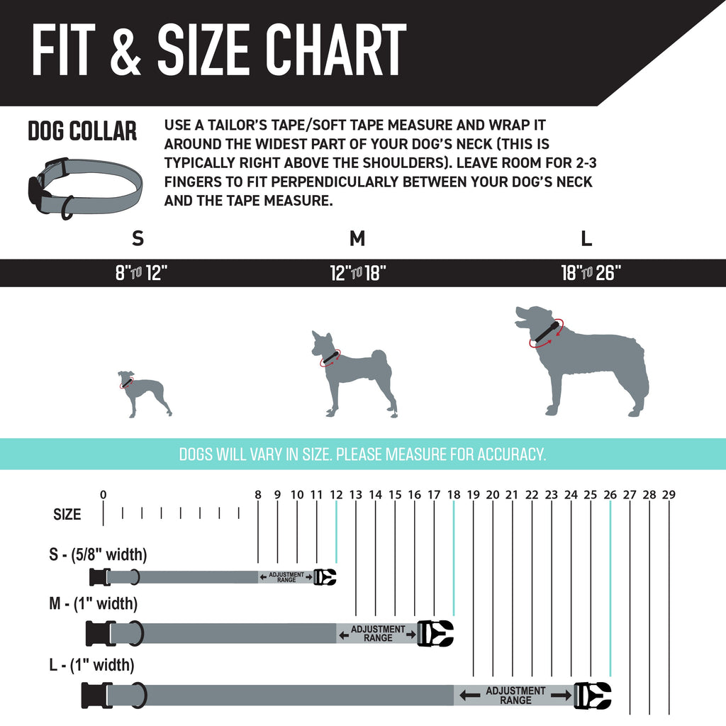 Dog Collar product image 4