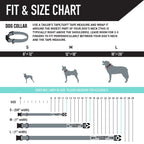 Dog Collar product image 4