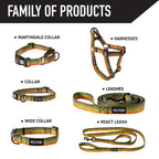 Dog Collar product image 5