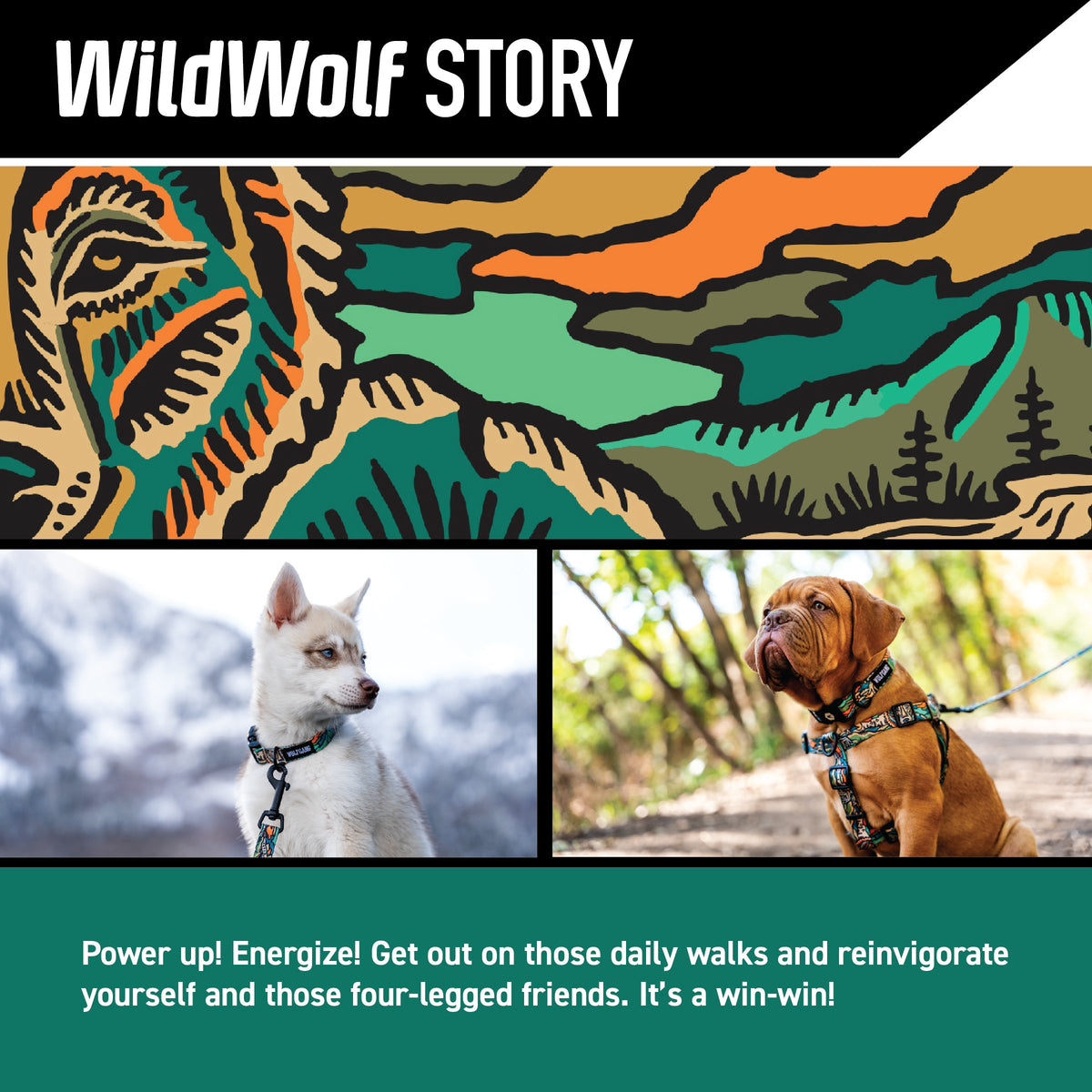 Wide Dog Collar product image 2