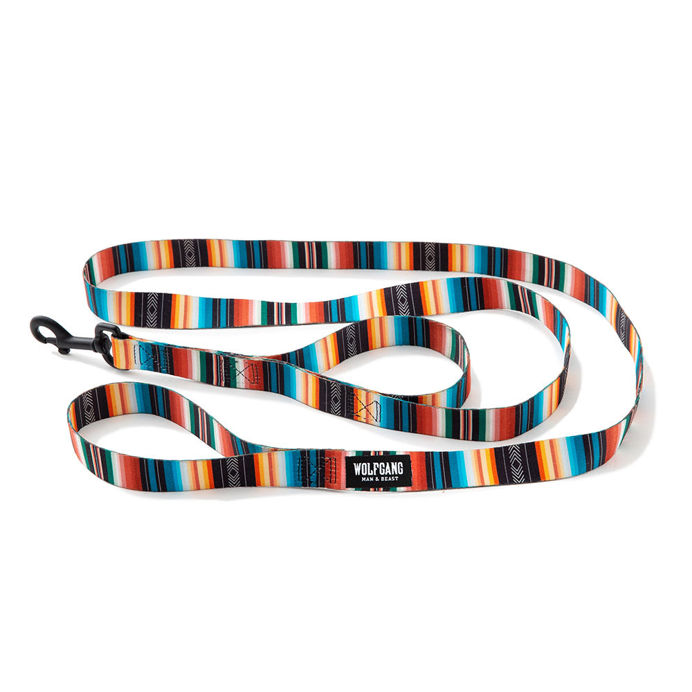 Dual Handle Dog Leash product image 1