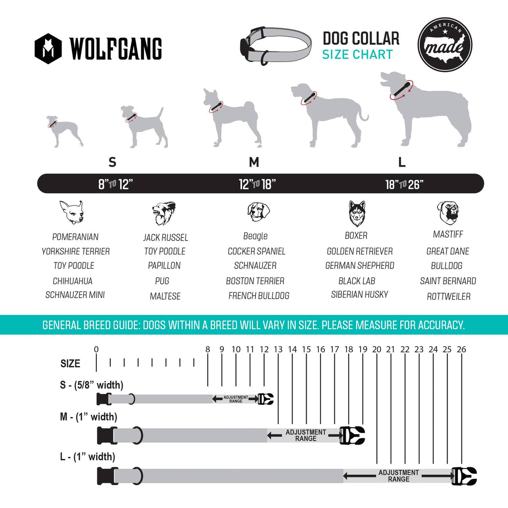 Dog Collar product image 2