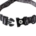 Dog Collar product image 4