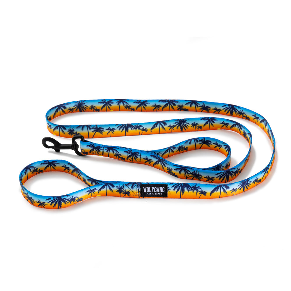 Dual Handle Dog Leash product image 1