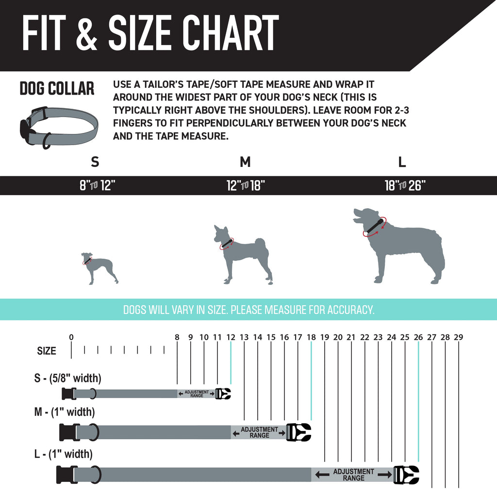 Dog Collar product image 4