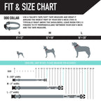 Dog Collar product image 4