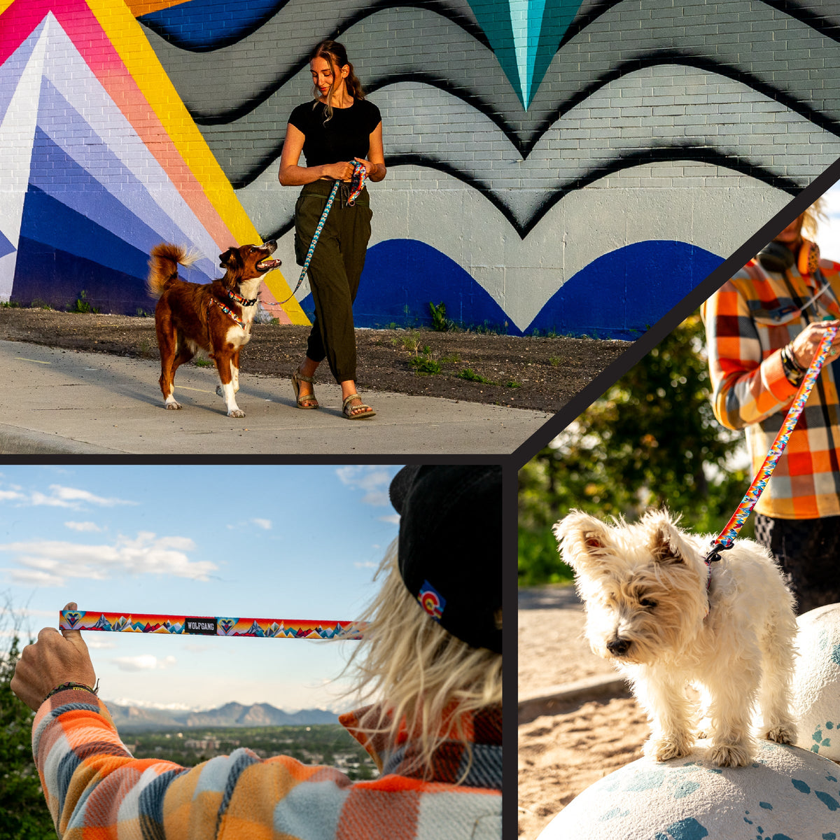 Dog Leash product image 6