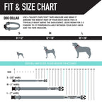 Adjustable Dog Collar product image 4