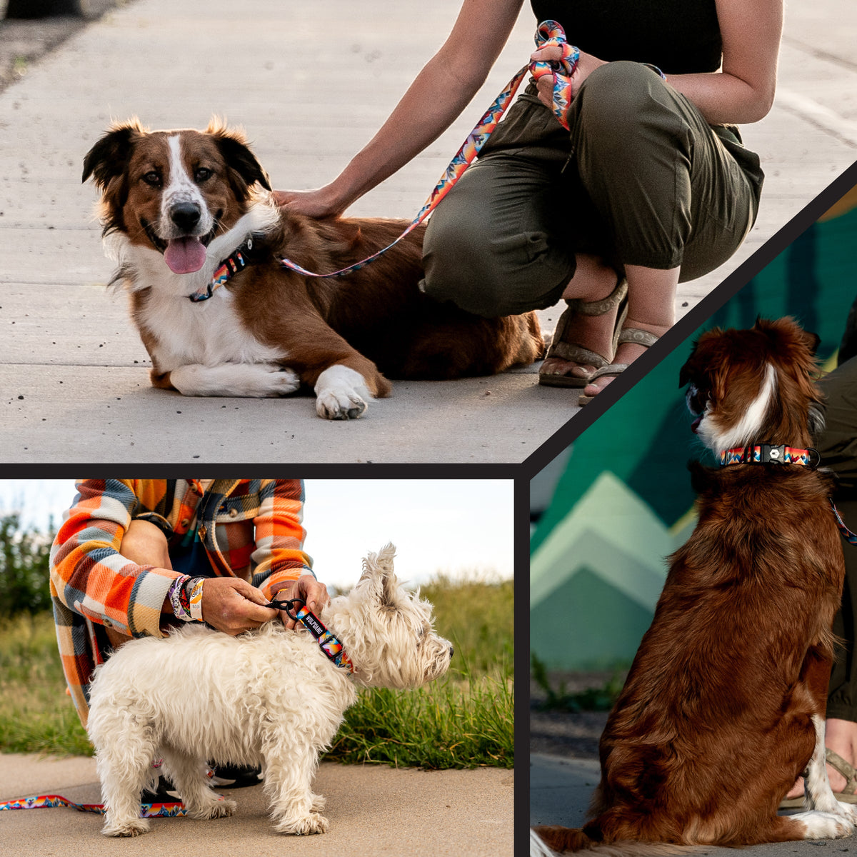 Adjustable Dog Collar product image 6