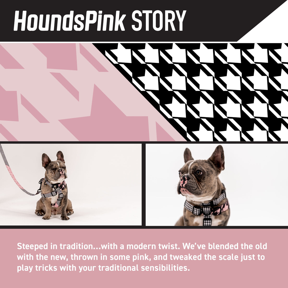 Dog Leash product image 2