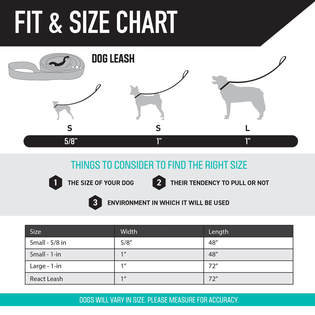 Dog Leash product image 5