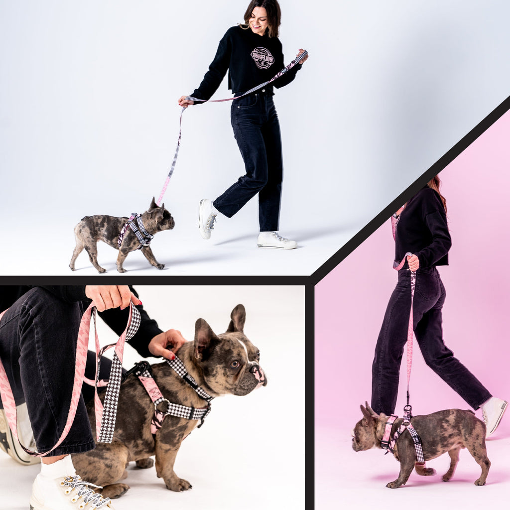 Dog Leash product image 6