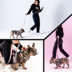 Dog Leash product image 6
