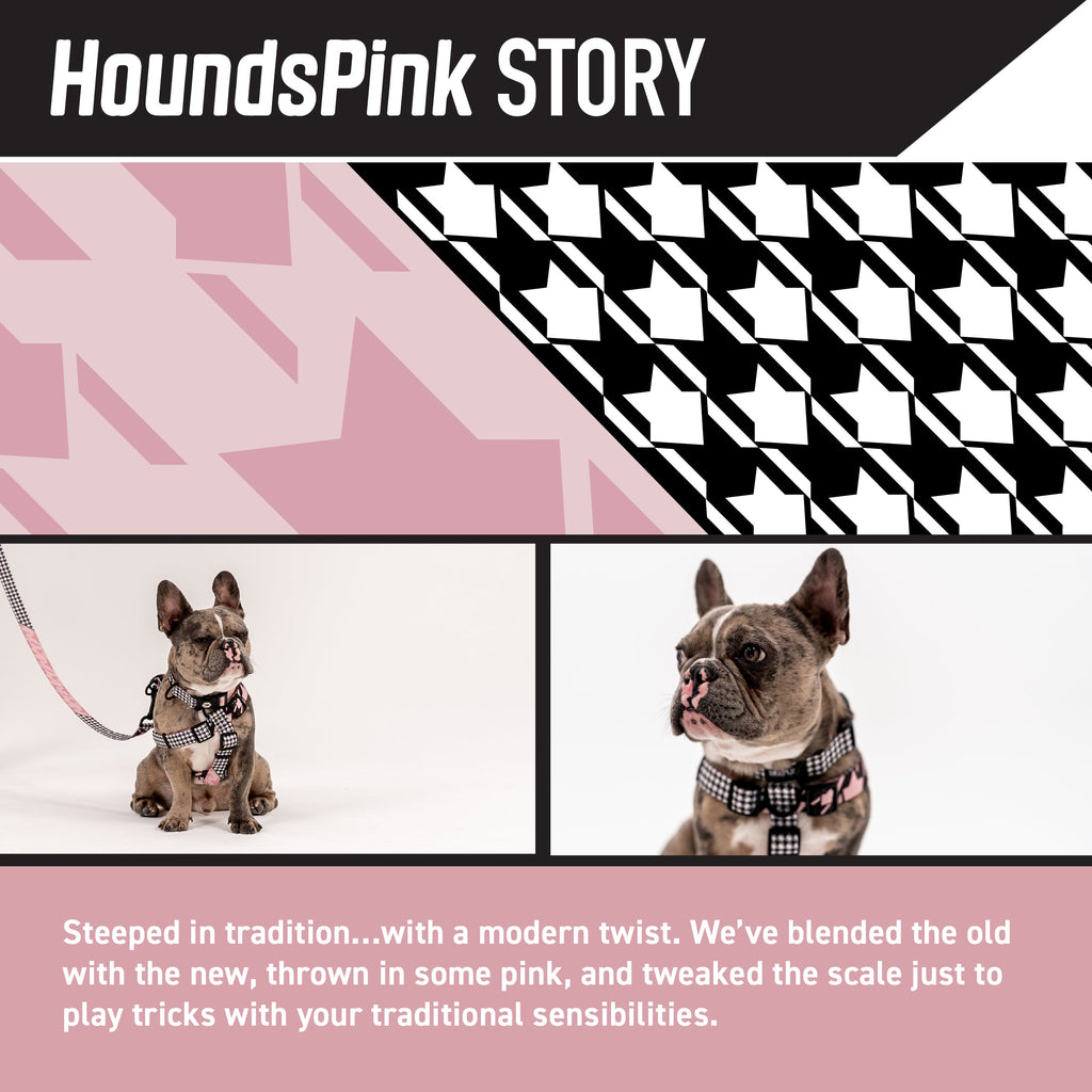 Adjustable Dog Collar product image 2