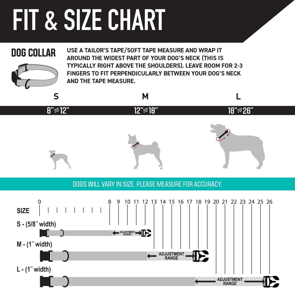 Adjustable Dog Collar product image 5