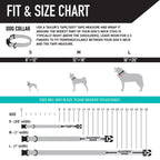 Adjustable Dog Collar product image 5