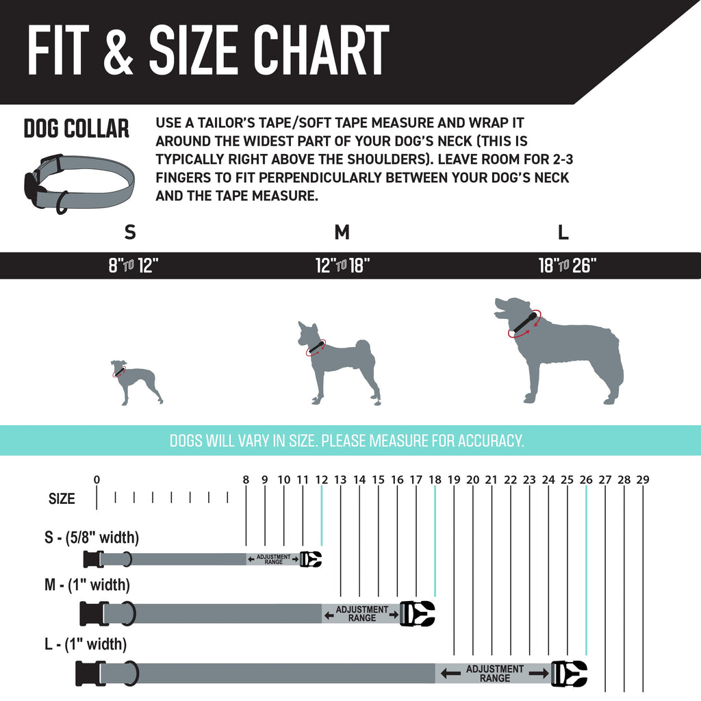 Dog Collar product image 4