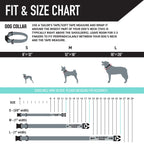 Dog Collar product image 4