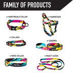 Dog Collar product image 5