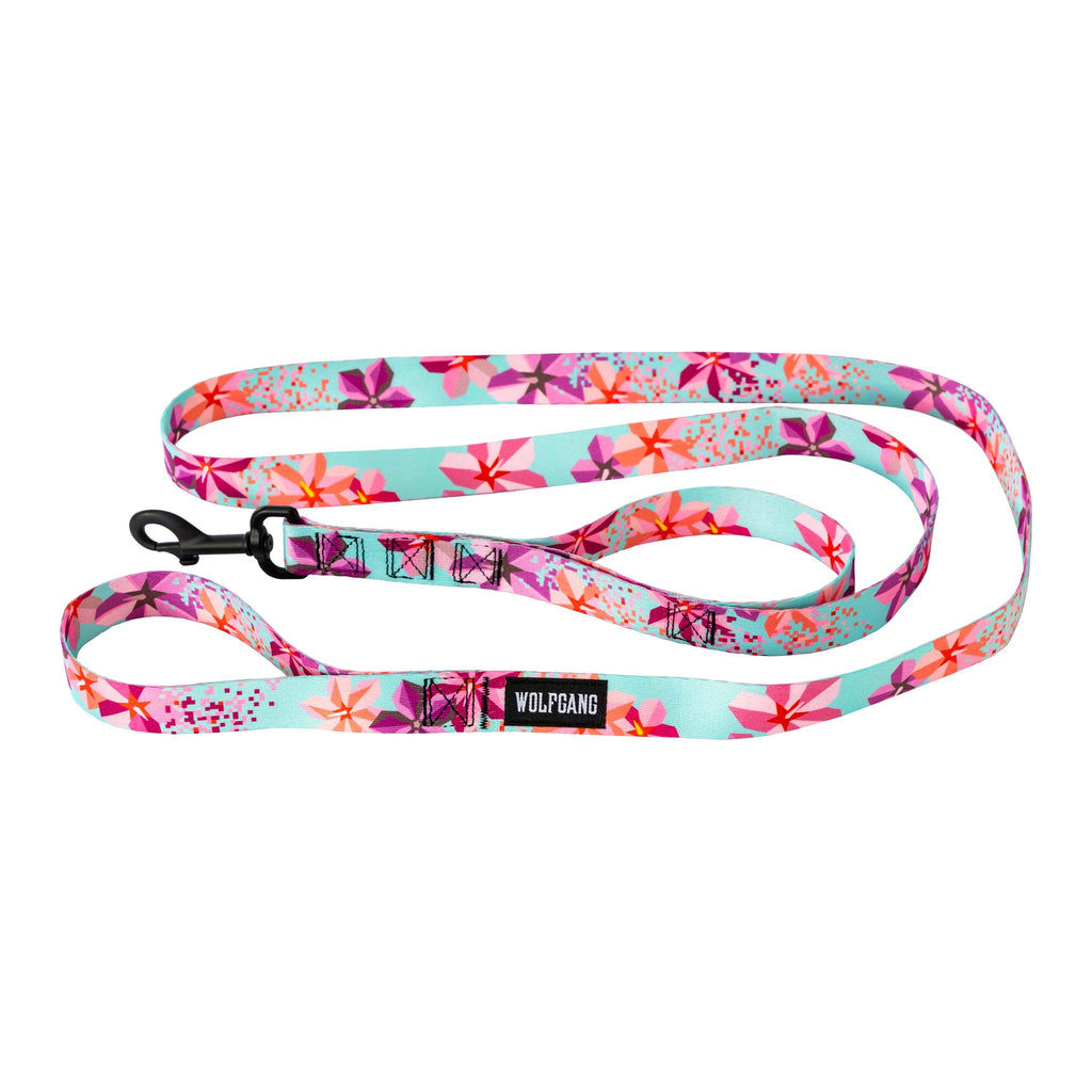 Dog Leash product image 1