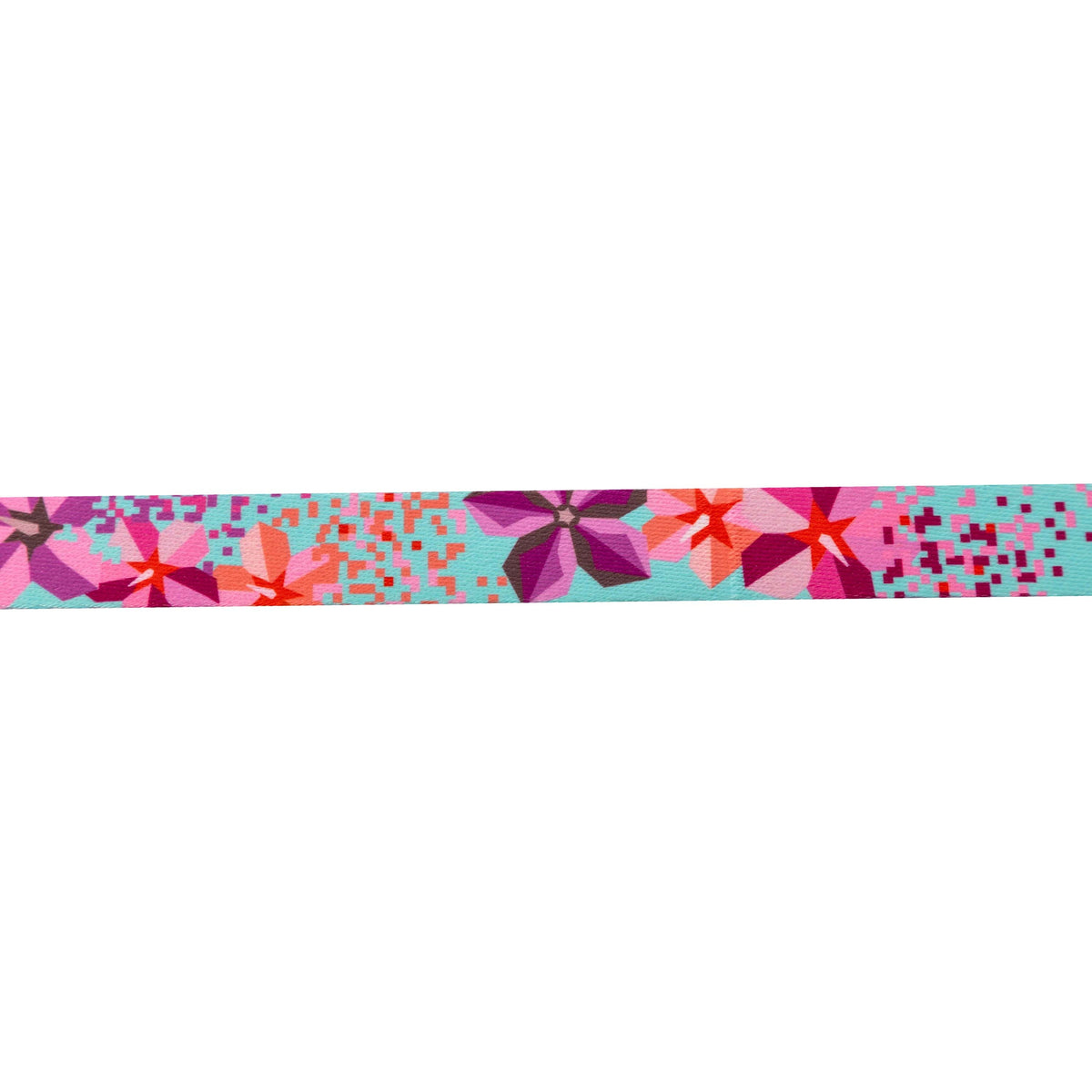 Dog Leash product image 2