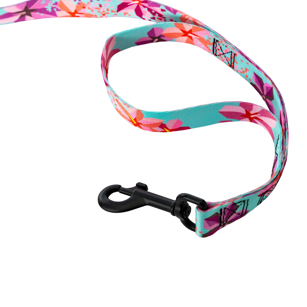 Dog Leash product image 3