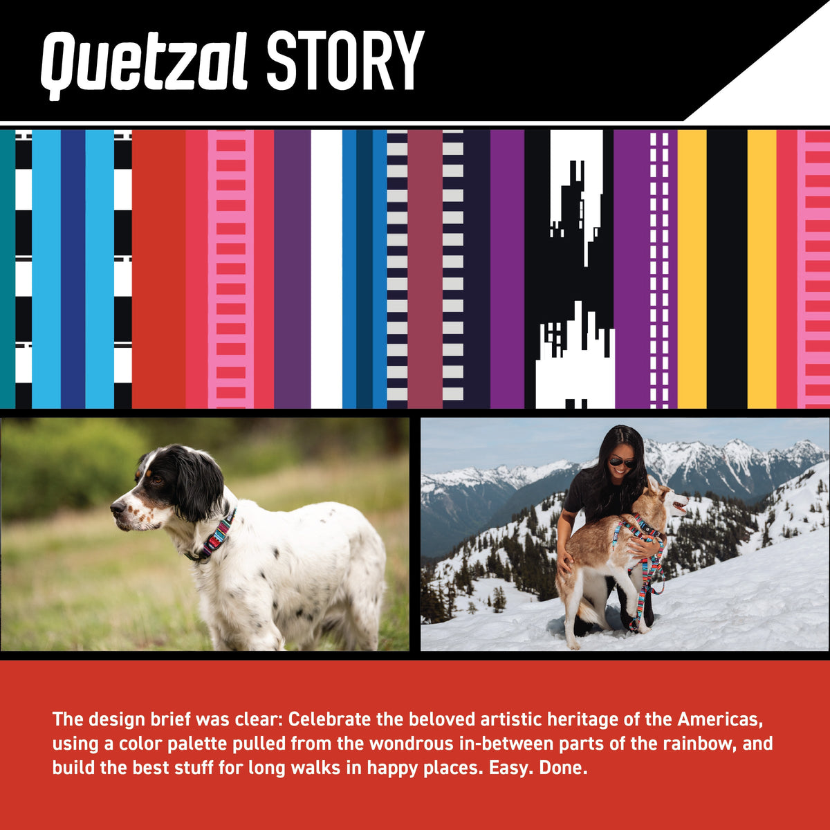 Dog Leash product image 2