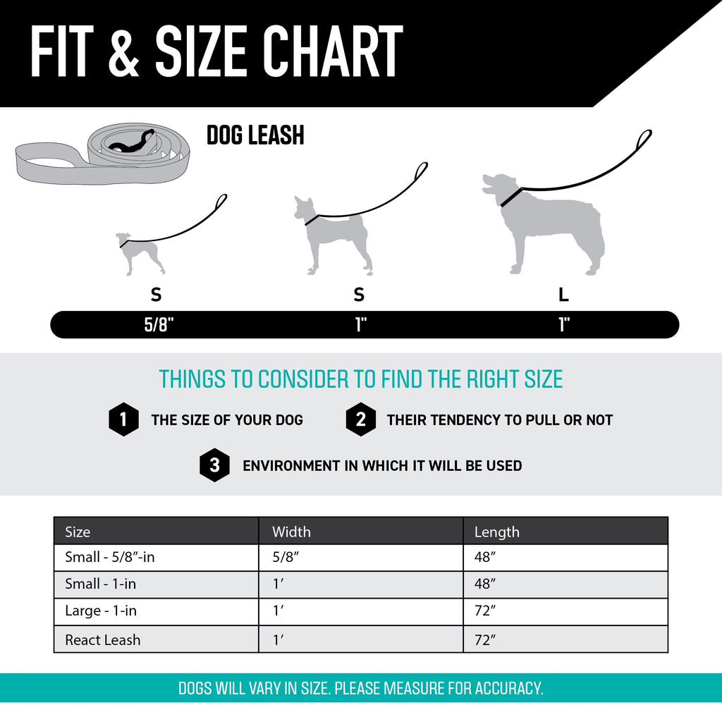 Dog Leash product image 4