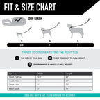 Dog Leash product image 4