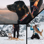 Dog Leash product image 6