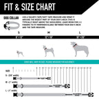 Dog Collar product image 4