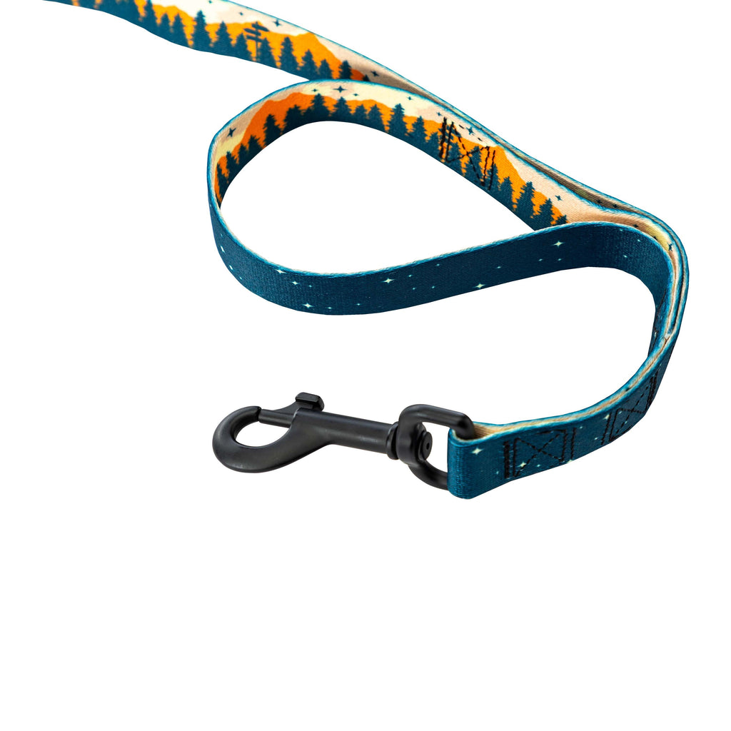 Dual Handle Dog Leash product image 3