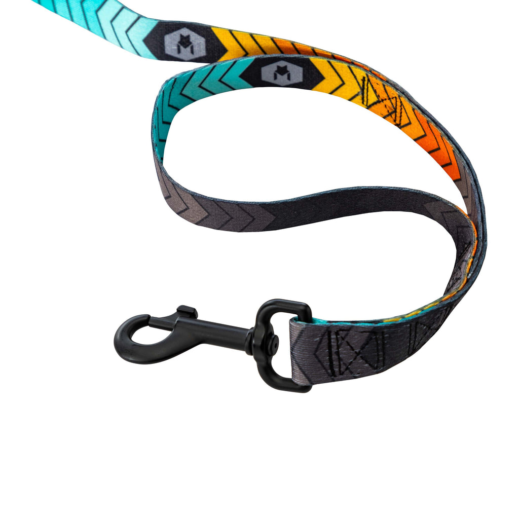 Dual Handle Dog Leash product image 4
