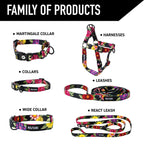 Dog Leash product image 5