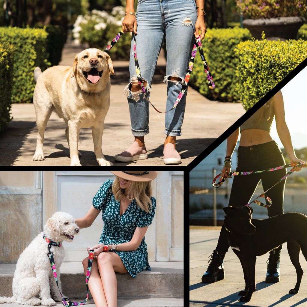 Dog Leash product image 6