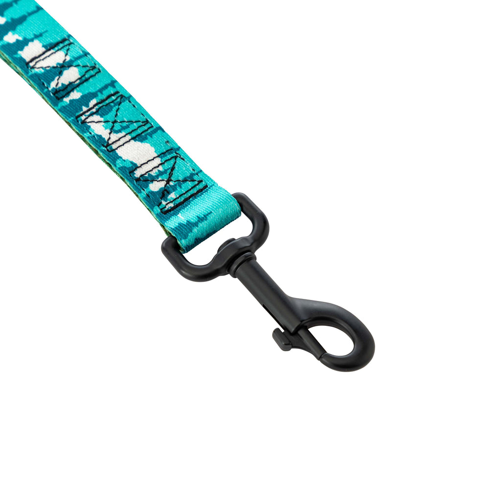 Dual-Handle Dog Leash product image 4