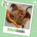 Turkey Tendon Dog Chew product image 6