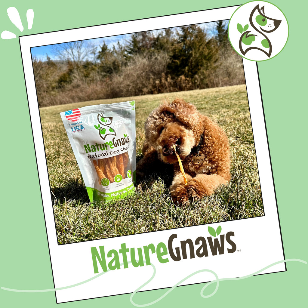 Turkey Tendon Dog Chew product image 7