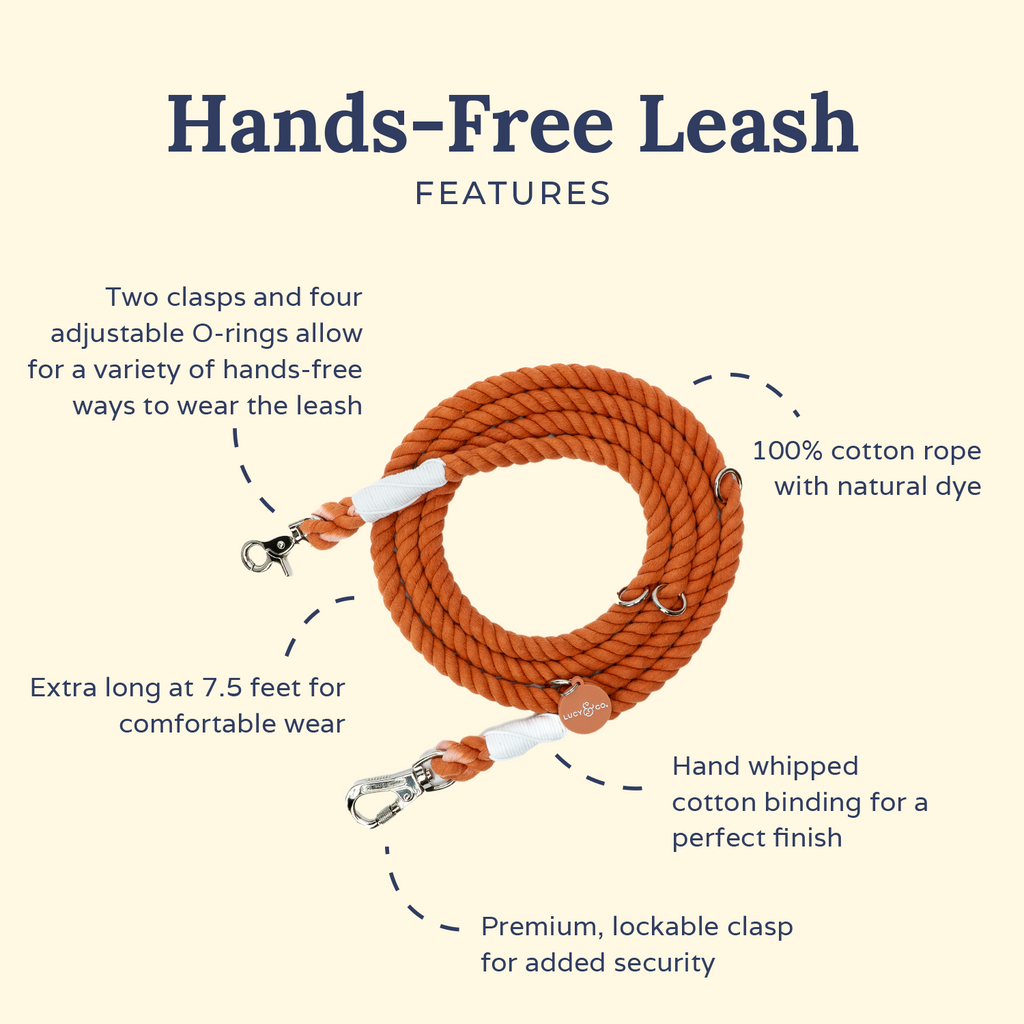 Hands-Free Dog Leash product image 3