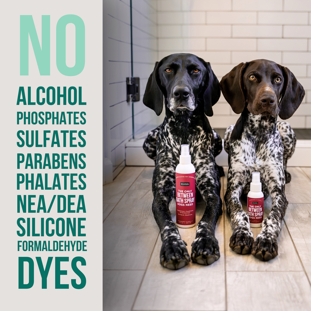 Dog Deodorizing Spray product image 3